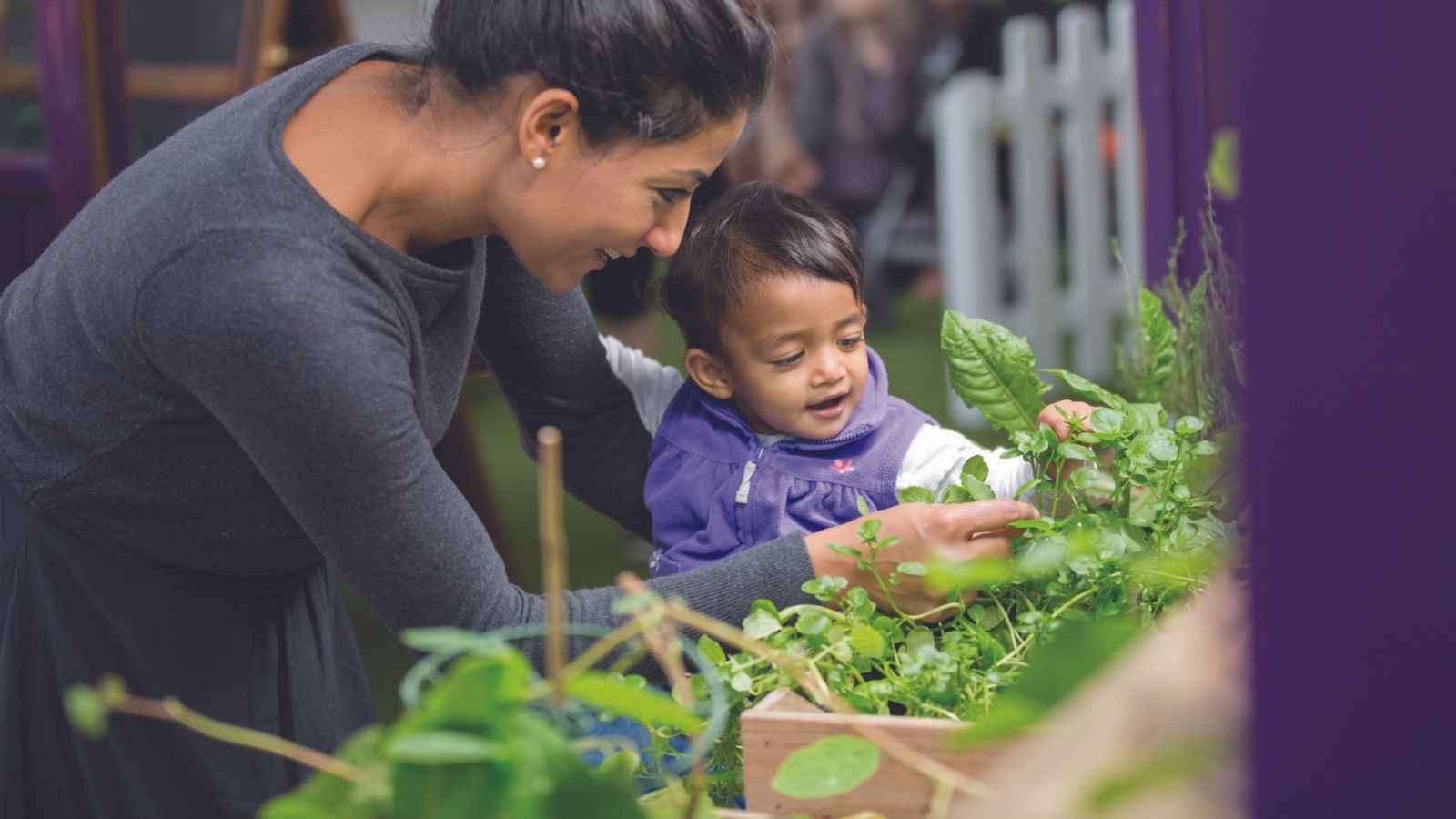 Flower Power We The Curious